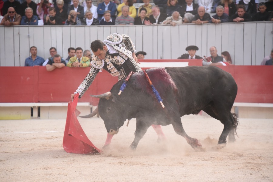 Arles, domingo 8 de septiembre de 2019