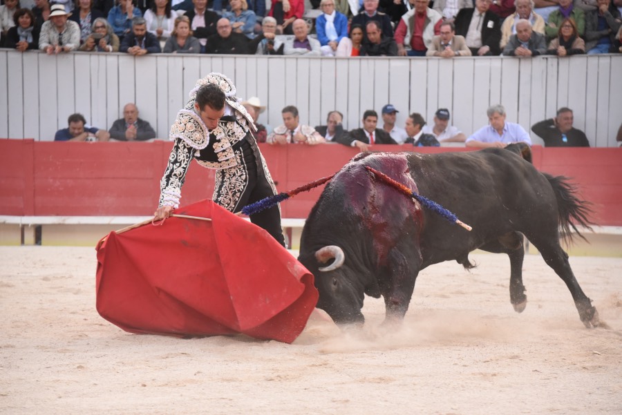 Arles, domingo 8 de septiembre de 2019