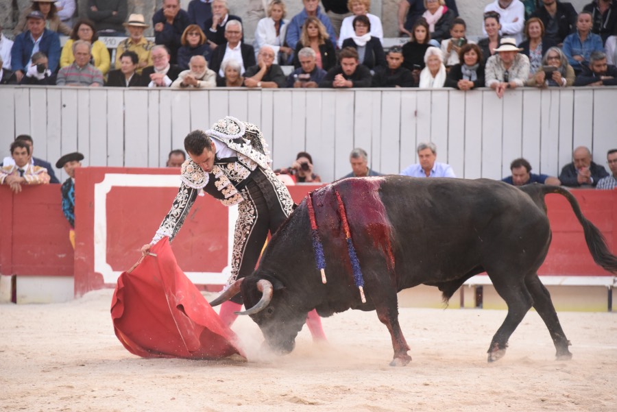 Arles, domingo 8 de septiembre de 2019