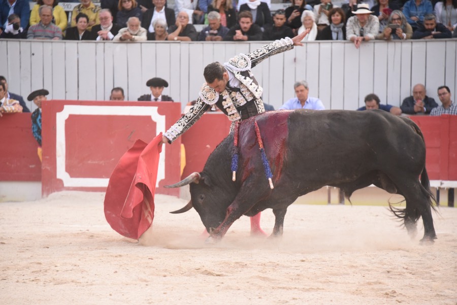 Arles, domingo 8 de septiembre de 2019