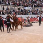 Arles, domingo 8 de septiembre de 2019