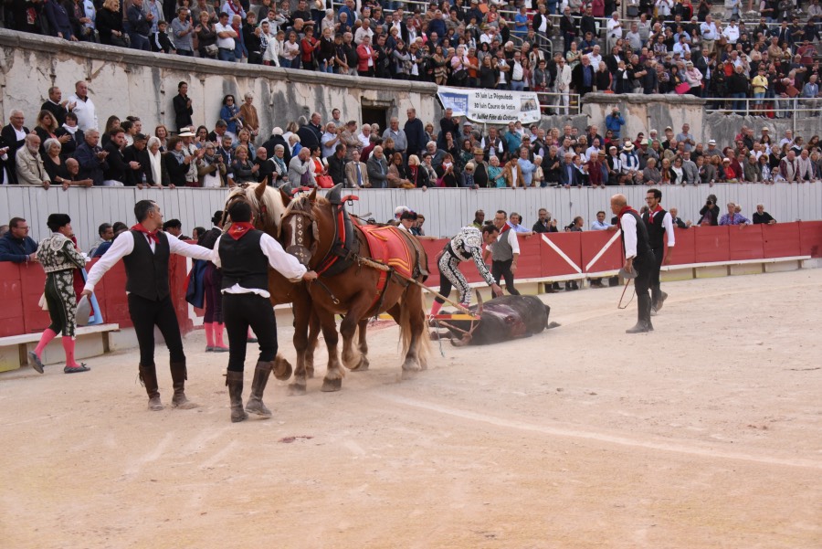 Arles, domingo 8 de septiembre de 2019