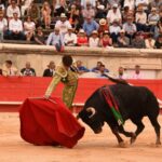 Nimes, sábado 14 de septiembre de 2019. Novillada matinal