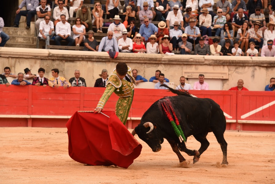 Nimes, sábado 14 de septiembre de 2019. Novillada matinal
