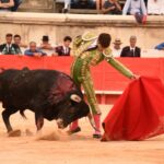 Nimes, sábado 14 de septiembre de 2019. Novillada matinal