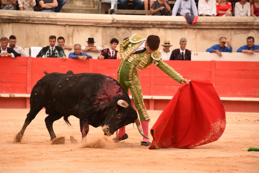 Nimes, sábado 14 de septiembre de 2019. Novillada matinal