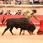 Nimes, sábado 14 de septiembre de 2019. Novillada matinal