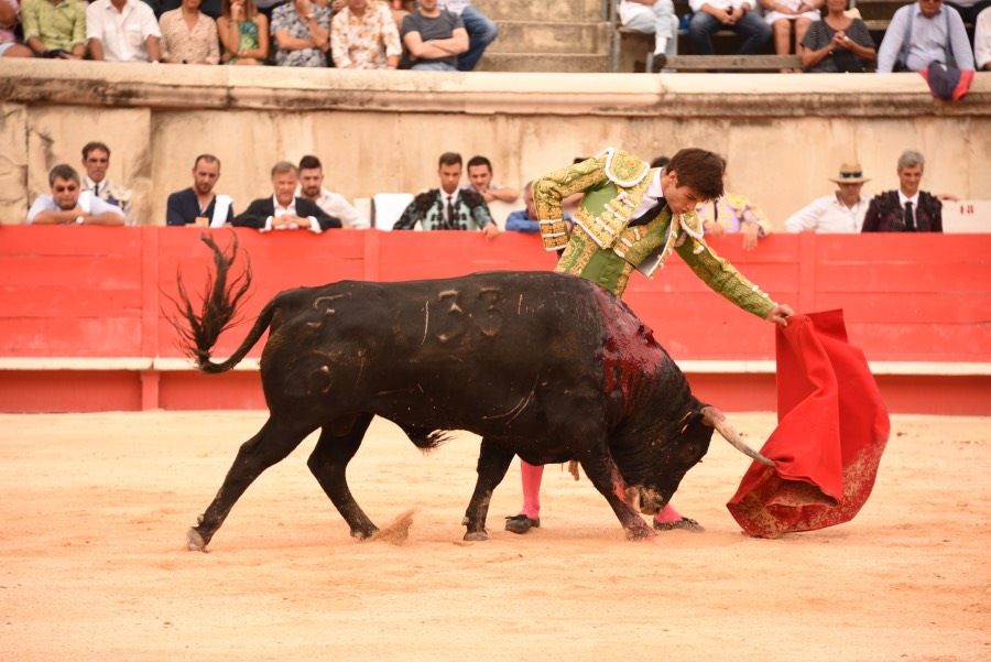 Nimes, sábado 14 de septiembre de 2019. Novillada matinal