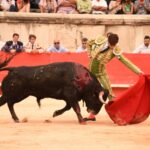 Nimes, sábado 14 de septiembre de 2019. Novillada matinal