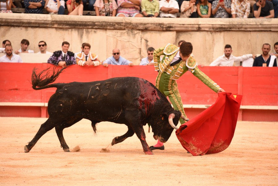 Nimes, sábado 14 de septiembre de 2019. Novillada matinal