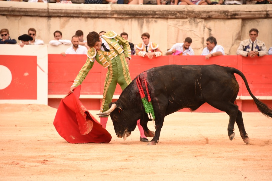 Nimes, sábado 14 de septiembre de 2019. Novillada matinal