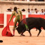 Nimes, sábado 14 de septiembre de 2019. Novillada matinal