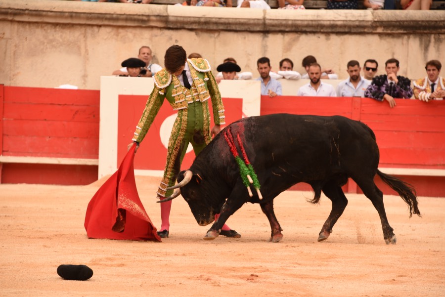 Nimes, sábado 14 de septiembre de 2019. Novillada matinal