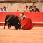 Nimes, sábado 14 de septiembre de 2019. Novillada matinal