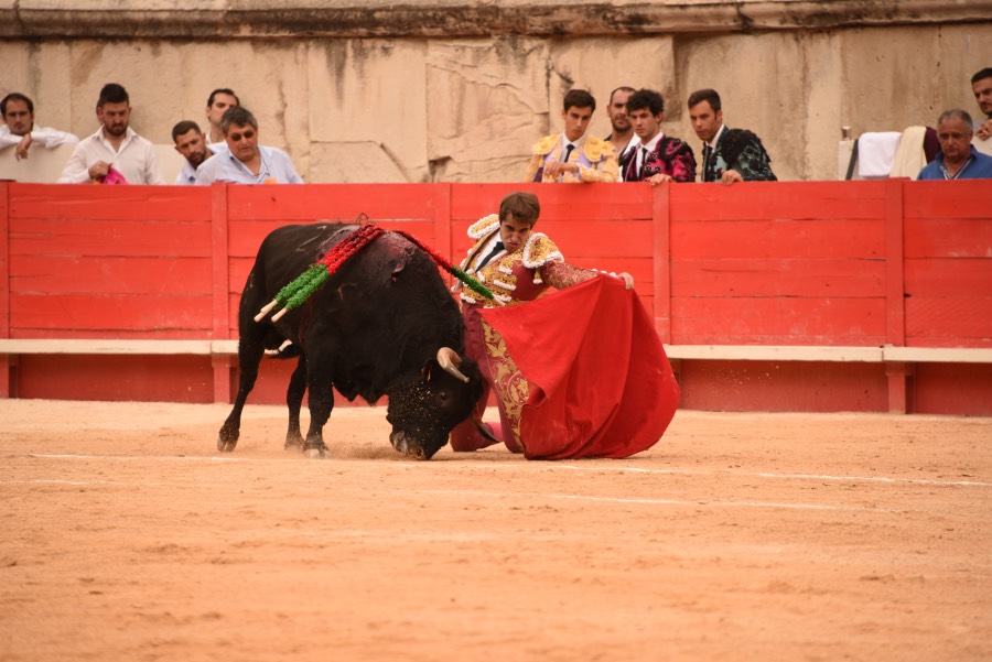 Nimes, sábado 14 de septiembre de 2019. Novillada matinal