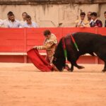 Nimes, sábado 14 de septiembre de 2019. Novillada matinal