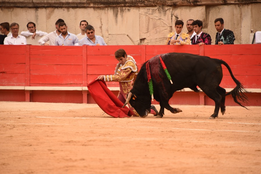Nimes, sábado 14 de septiembre de 2019. Novillada matinal