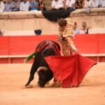 Nimes, sábado 14 de septiembre de 2019. Novillada matinal