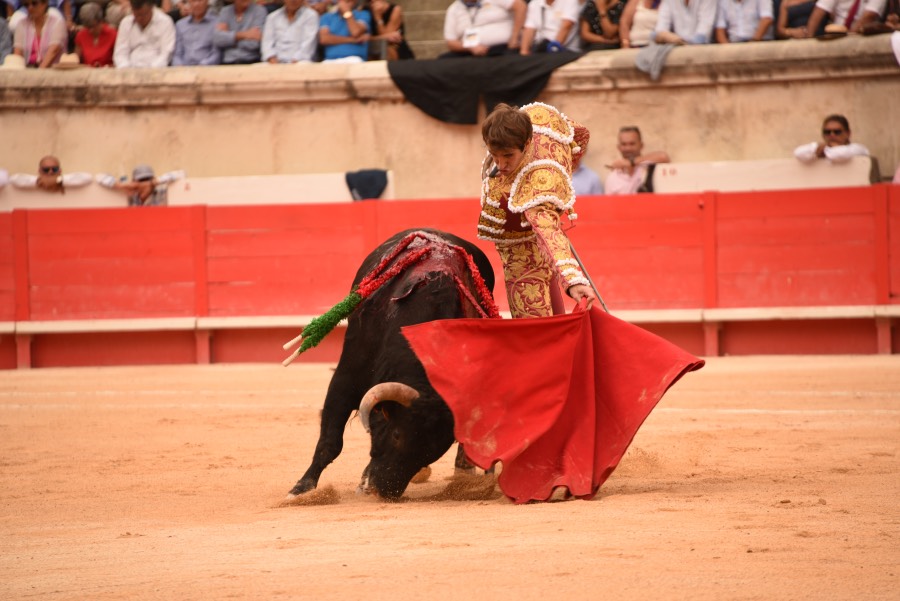 Nimes, sábado 14 de septiembre de 2019. Novillada matinal