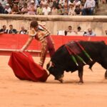 Nimes, sábado 14 de septiembre de 2019. Novillada matinal