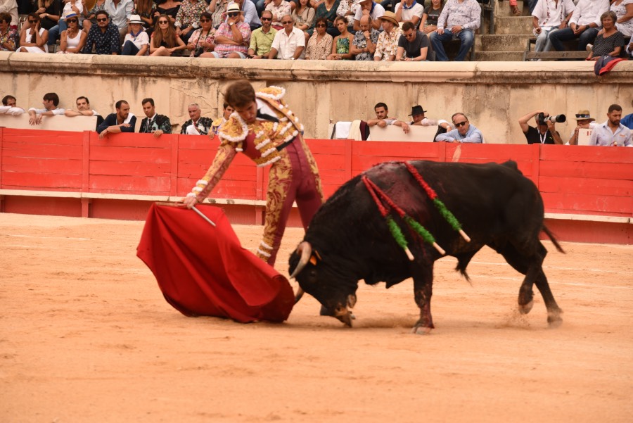 Nimes, sábado 14 de septiembre de 2019. Novillada matinal