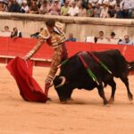 Nimes, sábado 14 de septiembre de 2019. Novillada matinal