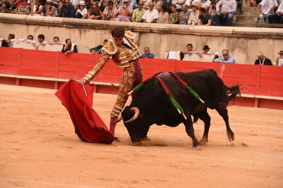 Nimes, sábado 14 de septiembre de 2019. Novillada matinal