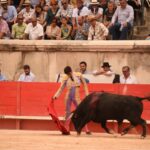 Nimes, sábado 14 de septiembre de 2019. Novillada matinal