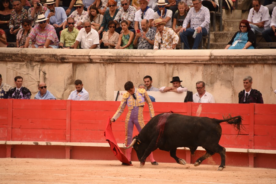 Nimes, sábado 14 de septiembre de 2019. Novillada matinal