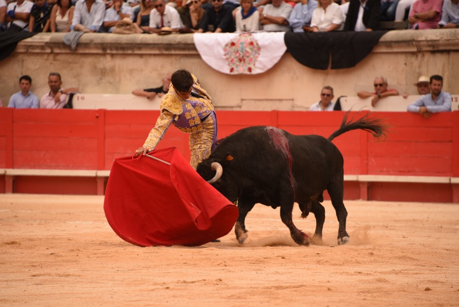 Nimes, sábado 14 de septiembre de 2019. Novillada matinal