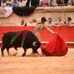 Nimes, sábado 14 de septiembre de 2019. Novillada matinal