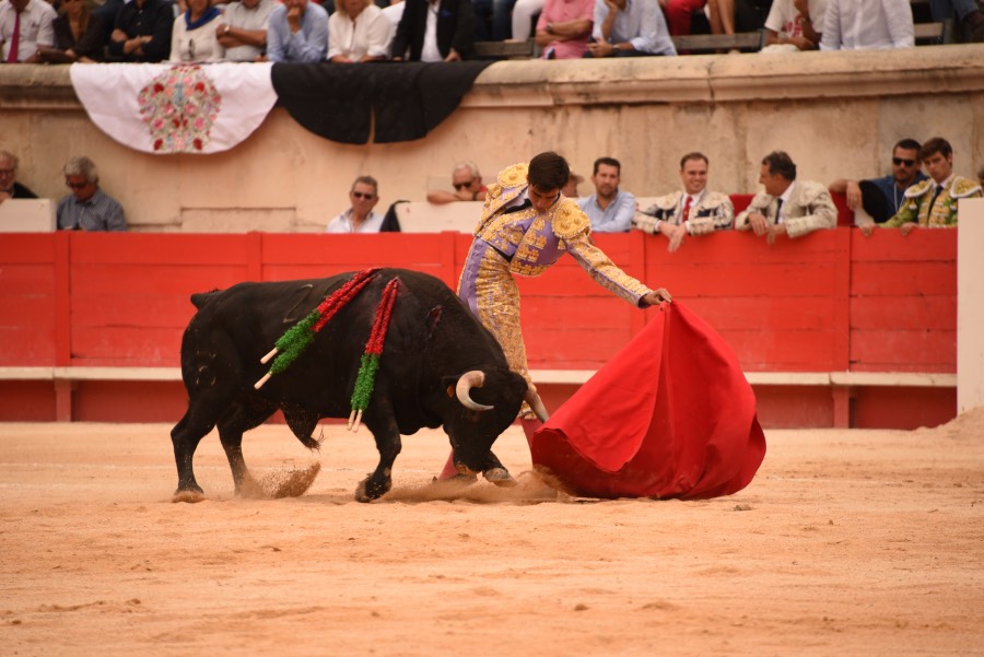 Nimes, sábado 14 de septiembre de 2019. Novillada matinal