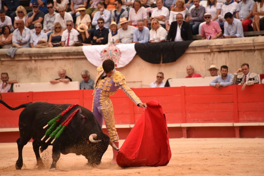 Nimes, sábado 14 de septiembre de 2019. Novillada matinal