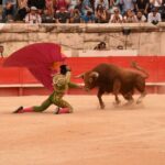 Nimes, sábado 14 de septiembre de 2019. Novillada matinal