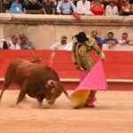 Nimes, sábado 14 de septiembre de 2019. Novillada matinal