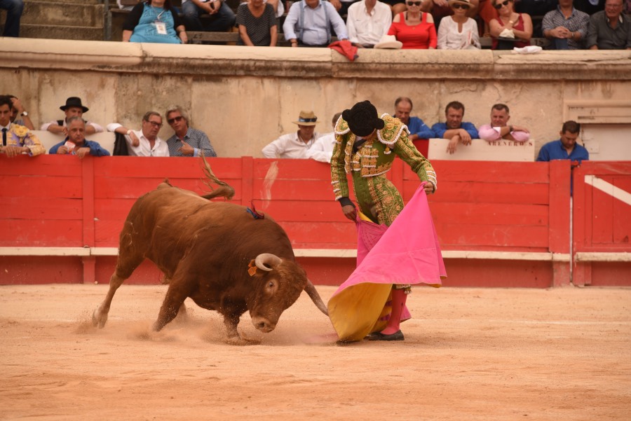 Nimes, sábado 14 de septiembre de 2019. Novillada matinal