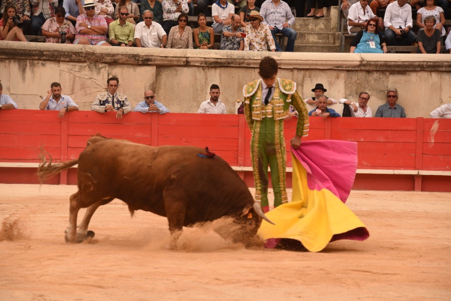 Nimes, sábado 14 de septiembre de 2019. Novillada matinal