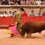 Nimes, sábado 14 de septiembre de 2019. Novillada matinal