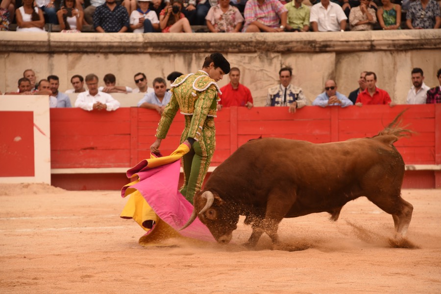 Nimes, sábado 14 de septiembre de 2019. Novillada matinal
