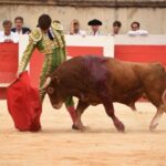 Nimes, sábado 14 de septiembre de 2019. Novillada matinal