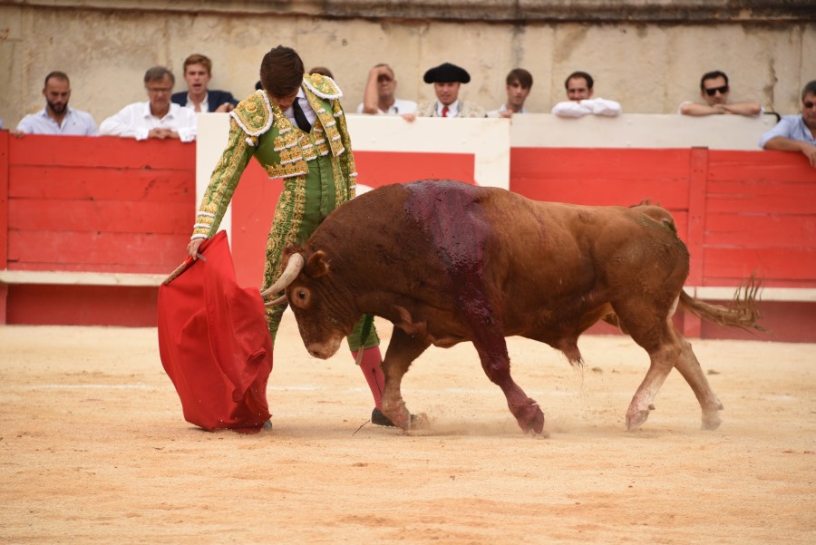 Nimes, sábado 14 de septiembre de 2019. Novillada matinal