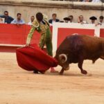 Nimes, sábado 14 de septiembre de 2019. Novillada matinal