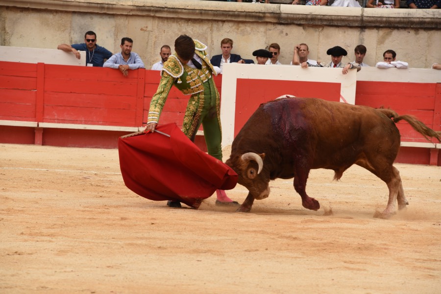 Nimes, sábado 14 de septiembre de 2019. Novillada matinal
