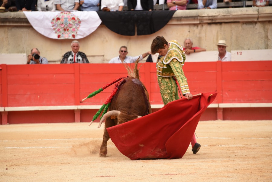 Nimes, sábado 14 de septiembre de 2019. Novillada matinal