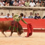 Nimes, sábado 14 de septiembre de 2019. Novillada matinal