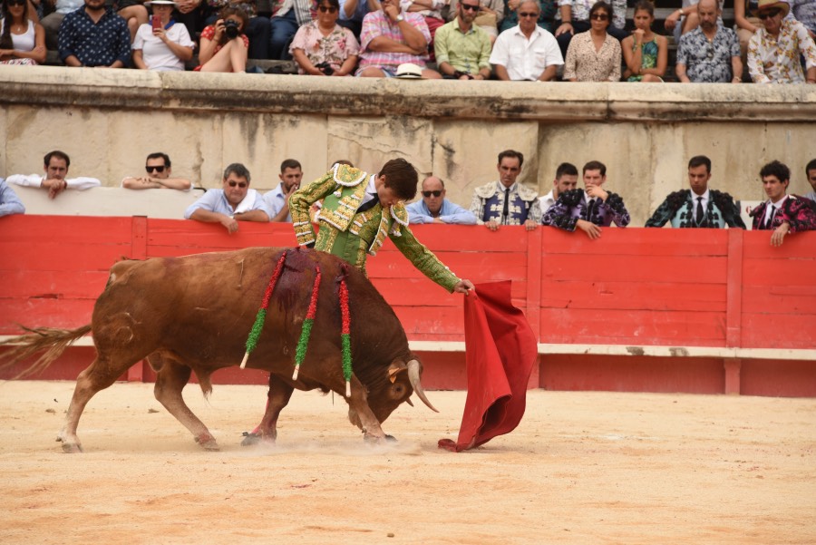 Nimes, sábado 14 de septiembre de 2019. Novillada matinal