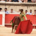 Nimes, sábado 14 de septiembre de 2019. Novillada matinal