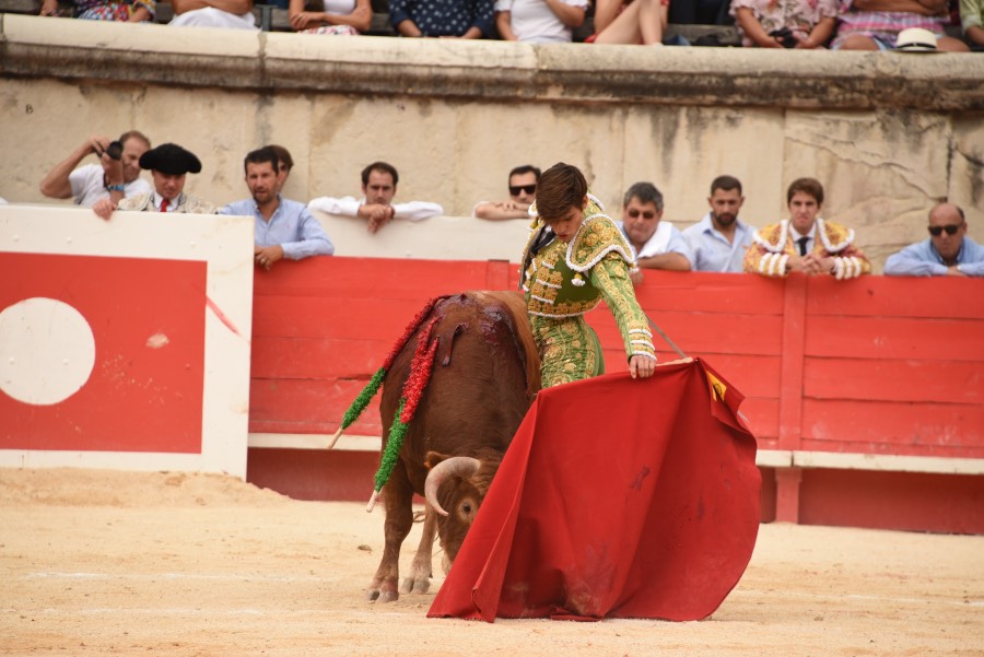 Nimes, sábado 14 de septiembre de 2019. Novillada matinal