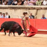 Nimes, sábado 14 de septiembre de 2019. Novillada matinal