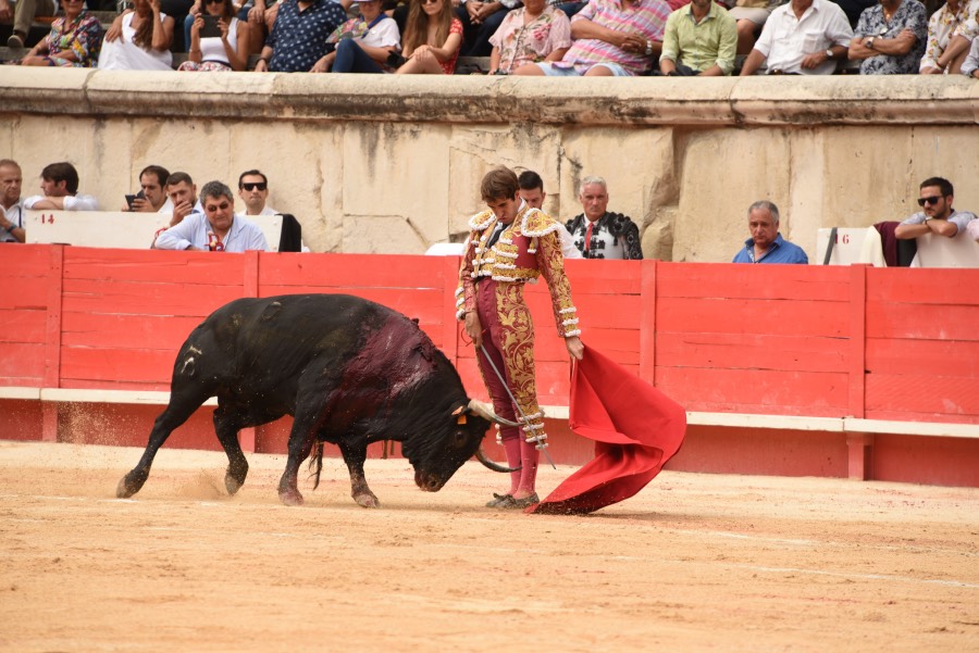 Nimes, sábado 14 de septiembre de 2019. Novillada matinal